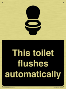 This toilet flushes automatically